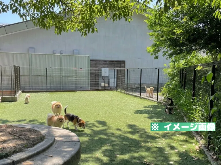 御在所サービスエリア（上り）ドッグラン