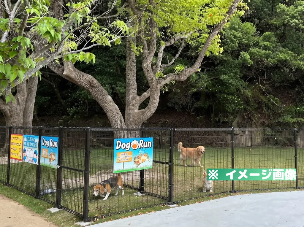 ぐるっと竜串ウエストパーク ドッグラン