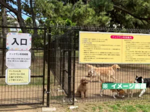 浜寺公園ドッグランのイメージ画像