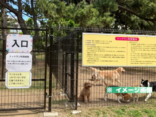 浜寺公園ドッグラン