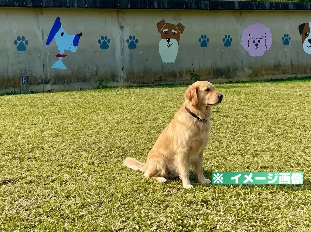 ハピアニおきなわ ドッグラン