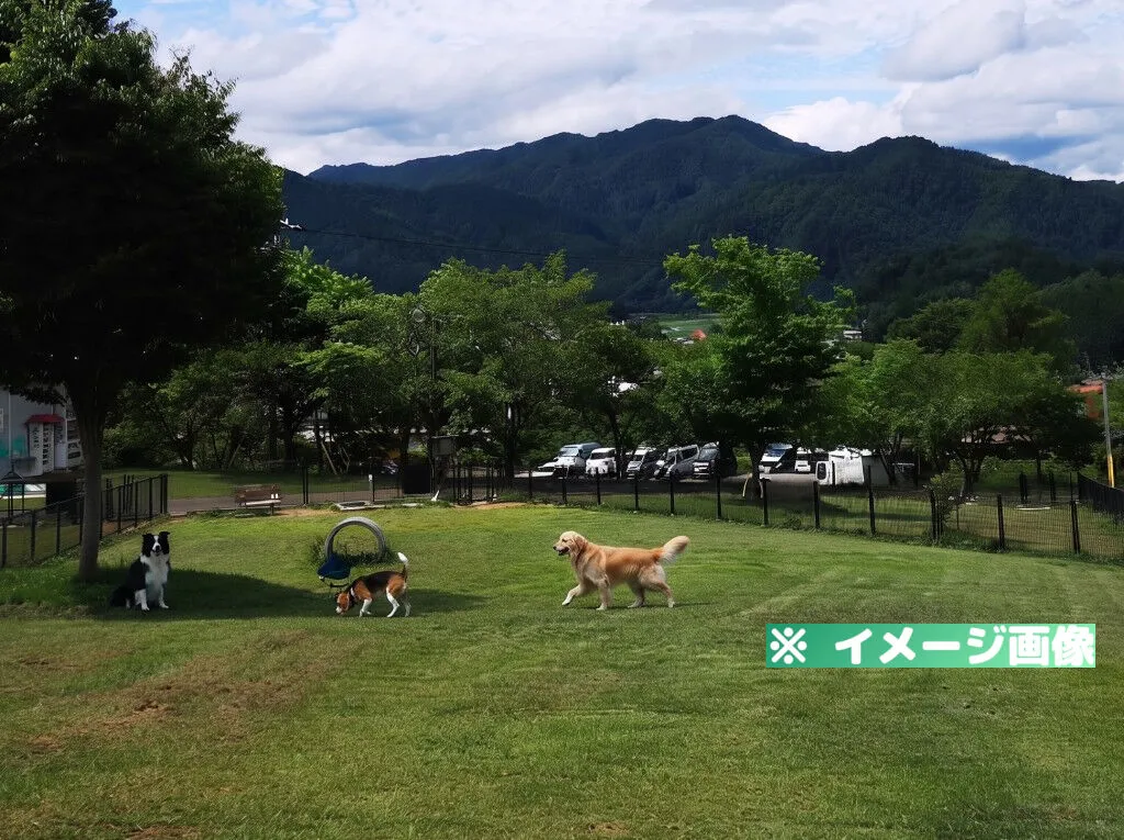 原山市民公園ドッグラン