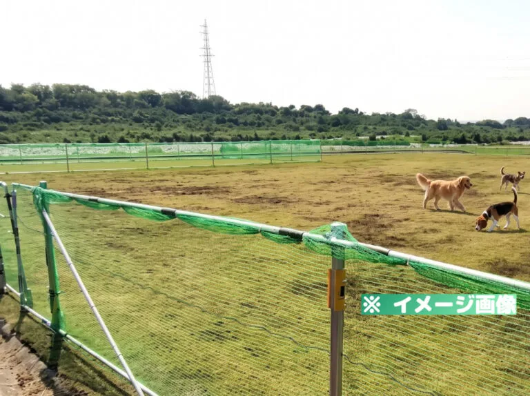 早月川緑地ドッグラン