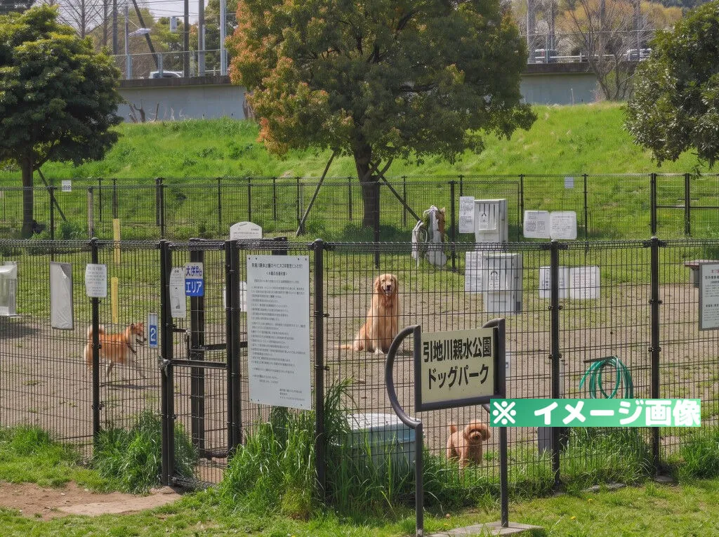 引地川親水公園ドッグパーク