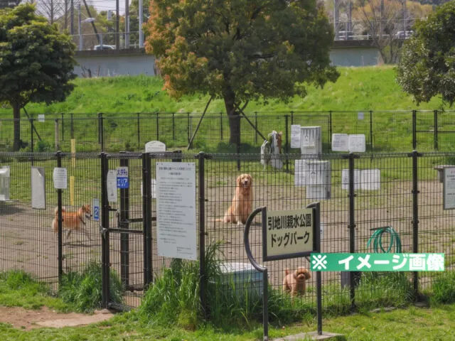 引地川親水公園ドッグパークのイメージ画像