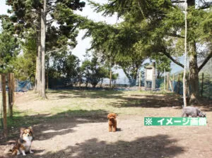 ひろしま遊学の森 広島県緑化センター「わんこひろば」