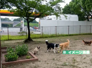 広川サービスエリア（下り）ドッグランのイメージ画像