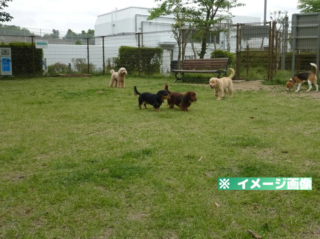 広川サービスエリア（上り）ドッグランのイメージ画像