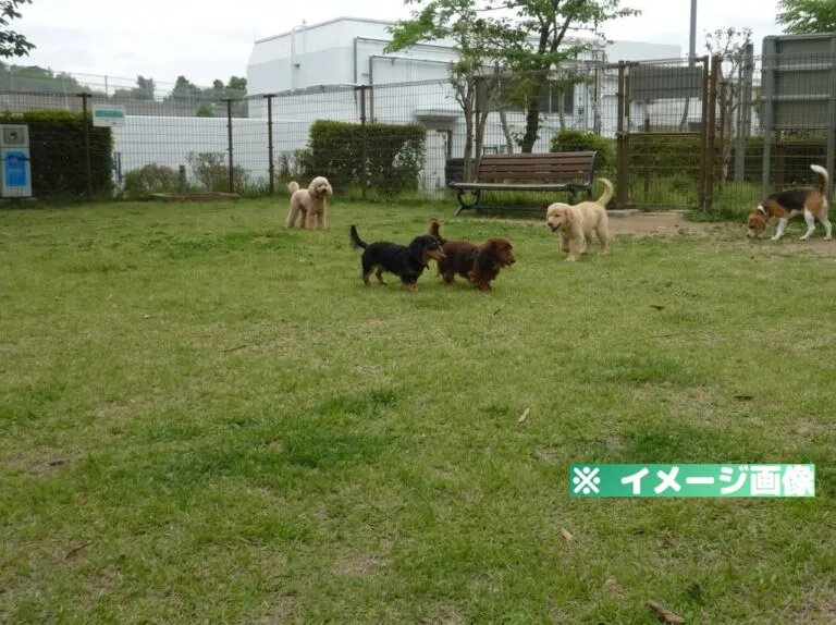 広川サービスエリア（上り）ドッグラン