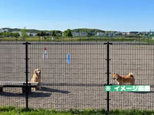 北光町未来の森公園ドッグランのイメージ画像