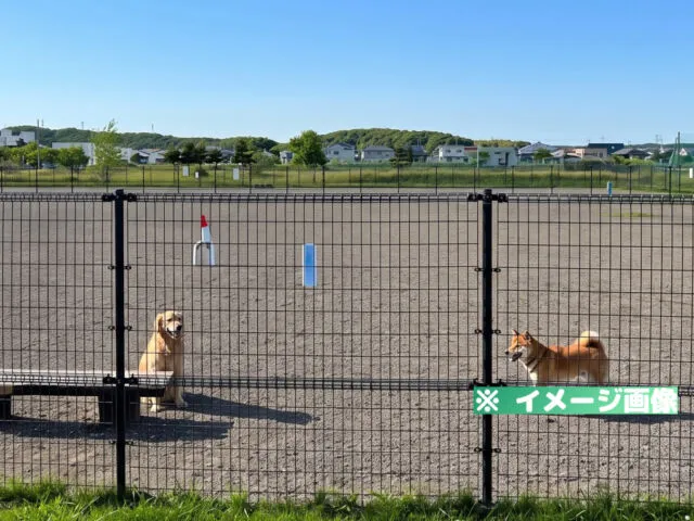 北光町未来の森公園ドッグラン