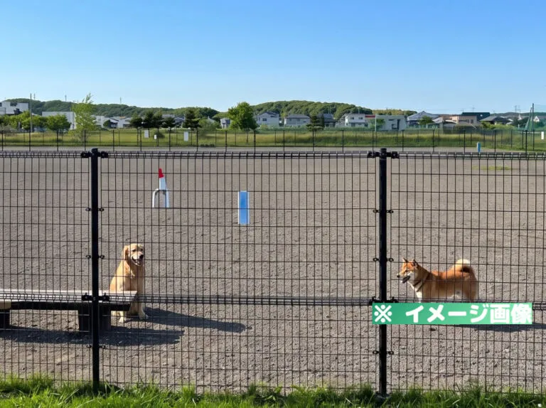 北光町未来の森公園ドッグラン