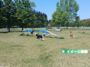 秋田県立北欧の杜公園 犬の冒険広場＆アジリティのイメージ画像