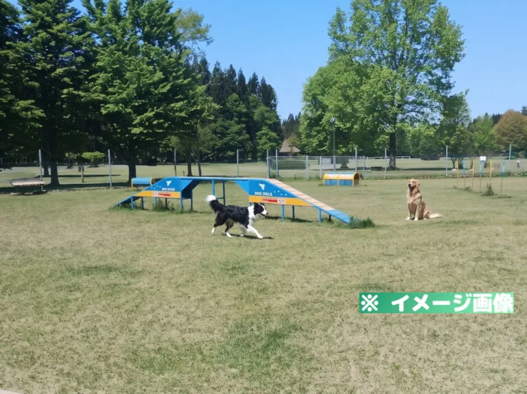 秋田県立北欧の杜公園 犬の冒険広場＆アジリティ