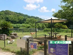 市原サービスエリア（下り）ドッグランのイメージ画像