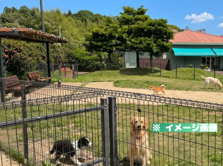 市原サービスエリア（上り）ドッグラン