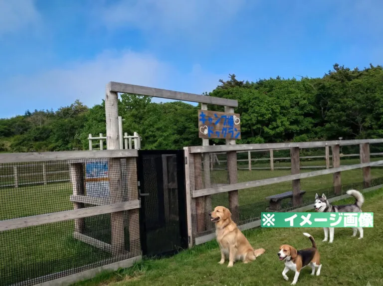 夷王山キャンプ場 ドッグラン
