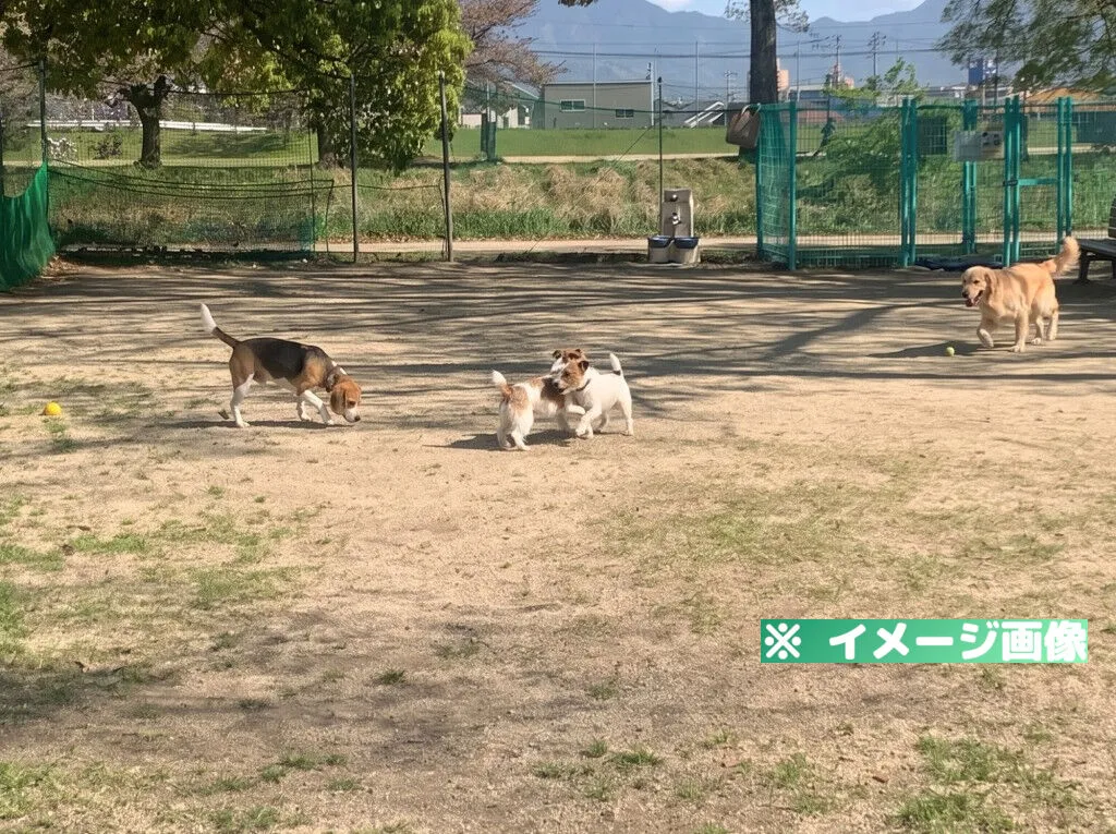 石手川緑地ドッグラン「わんパーク」のイメージ画像