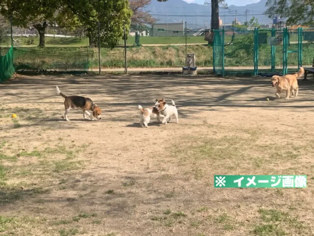 石手川緑地ドッグラン「わんパーク」