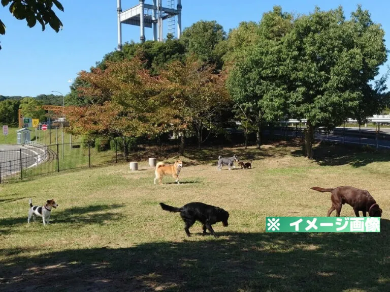 石鎚山サービスエリア（上り）ドッグラン