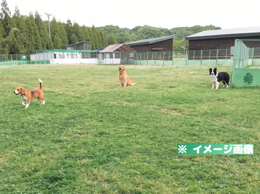 いわみざわ公園 小動物ふれあい広場ドッグラン