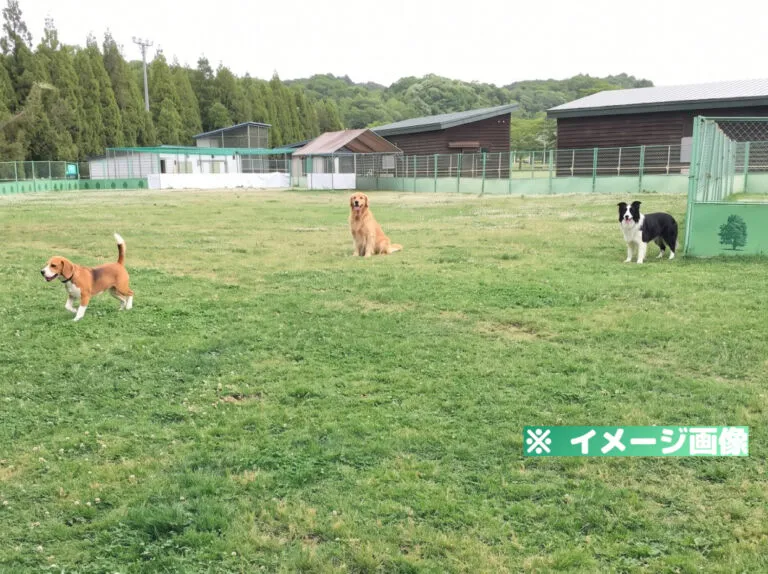 いわみざわ公園 小動物ふれあい広場ドッグラン