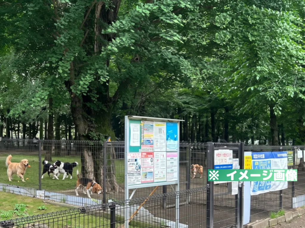 城北中央公園ドッグラン