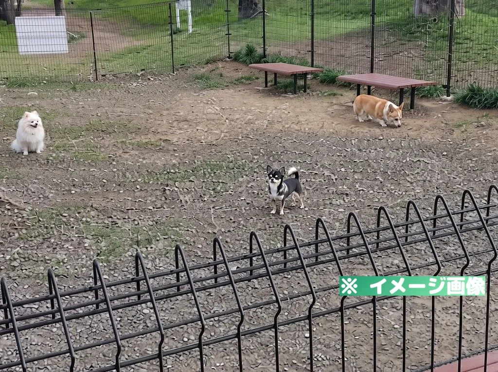 釜無川スポーツ公園 ドッグラン