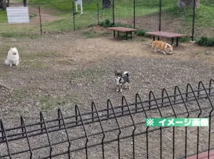 釜無川スポーツ公園 ドッグラン