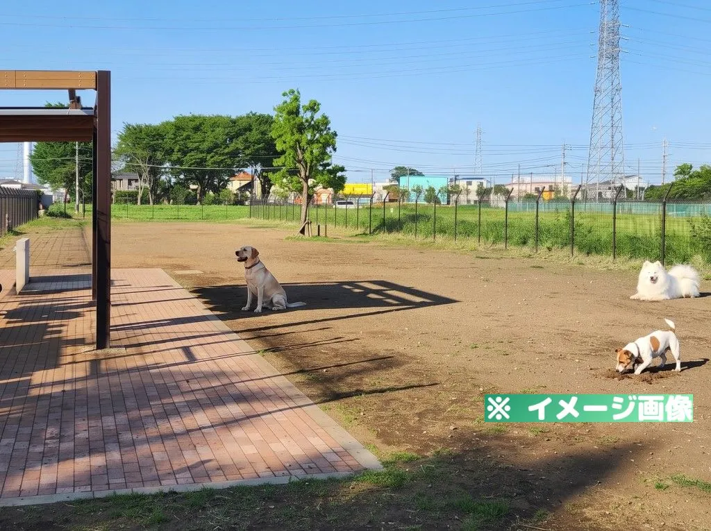 神代植物公園ドッグラン