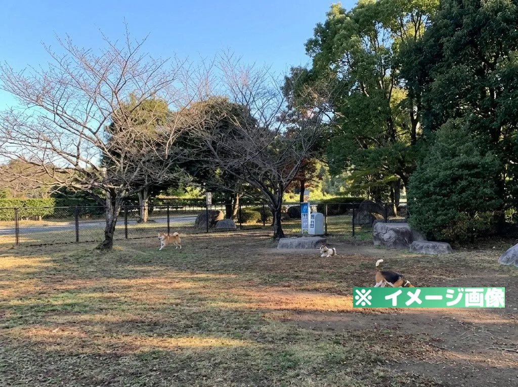 金立サービスエリア（下り）ドッグランのイメージ画像