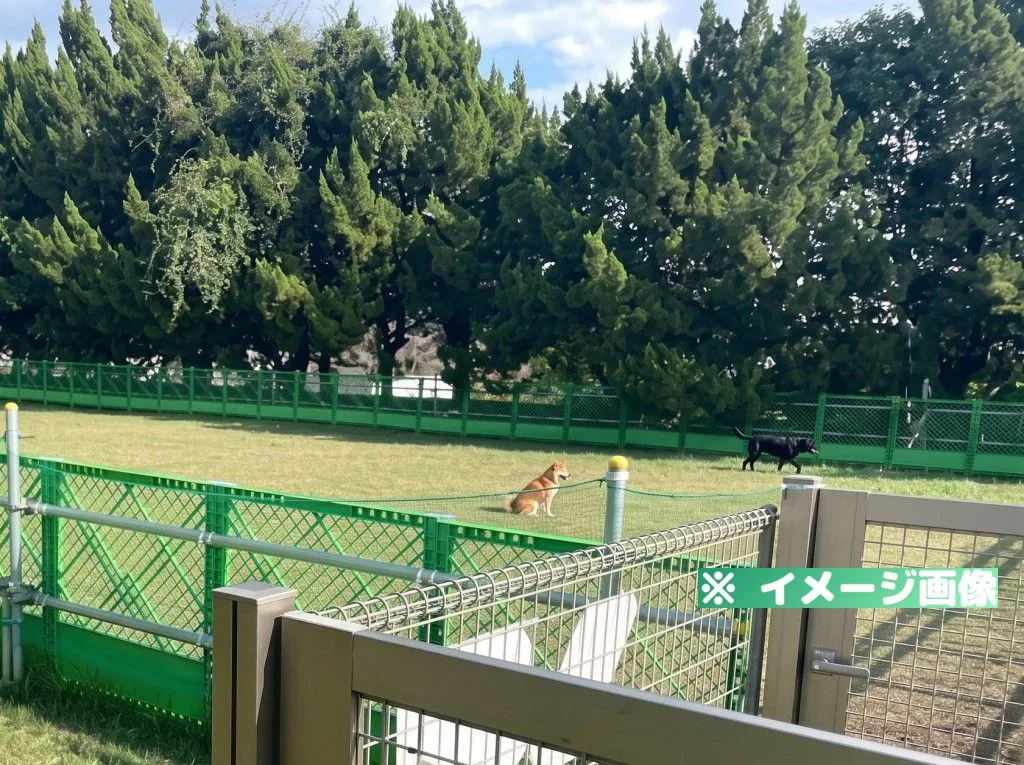 香りの森ドッグラン