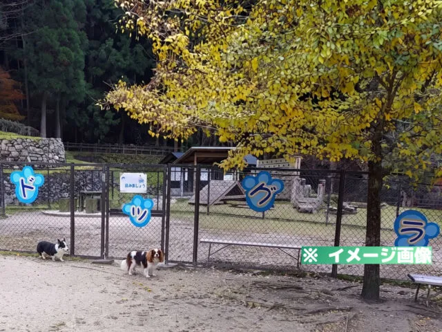 香恋の館 ドッグラン