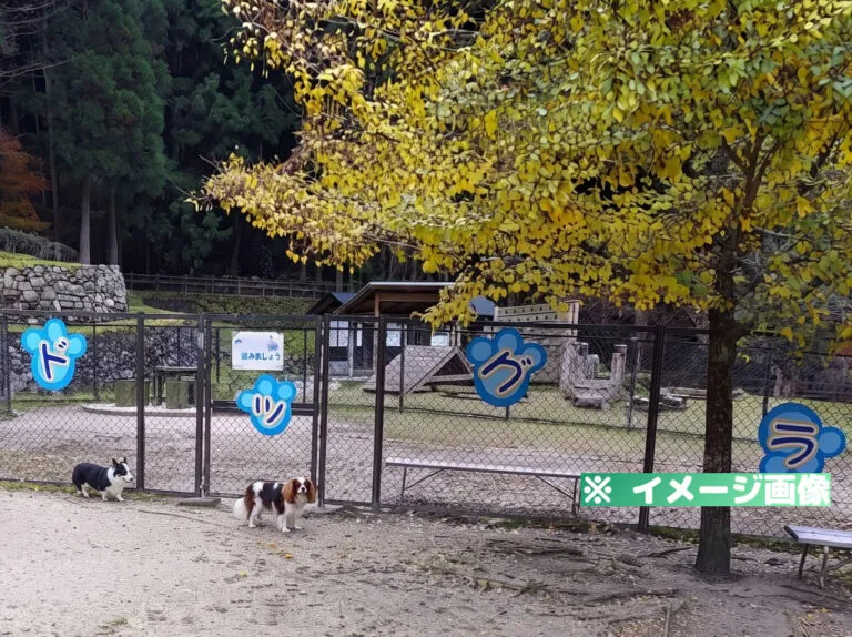 香恋の館 ドッグラン