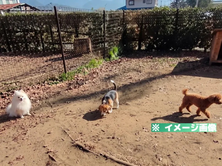 川中島古戦場史跡公園 ドッグラン