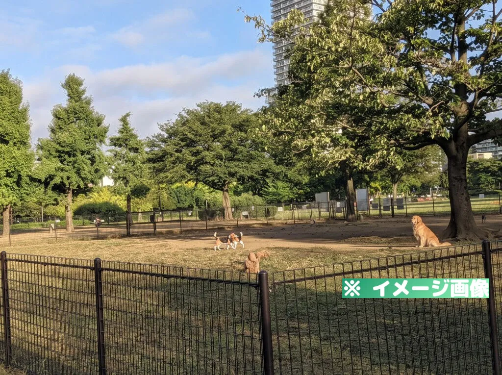 木場公園ドッグラン