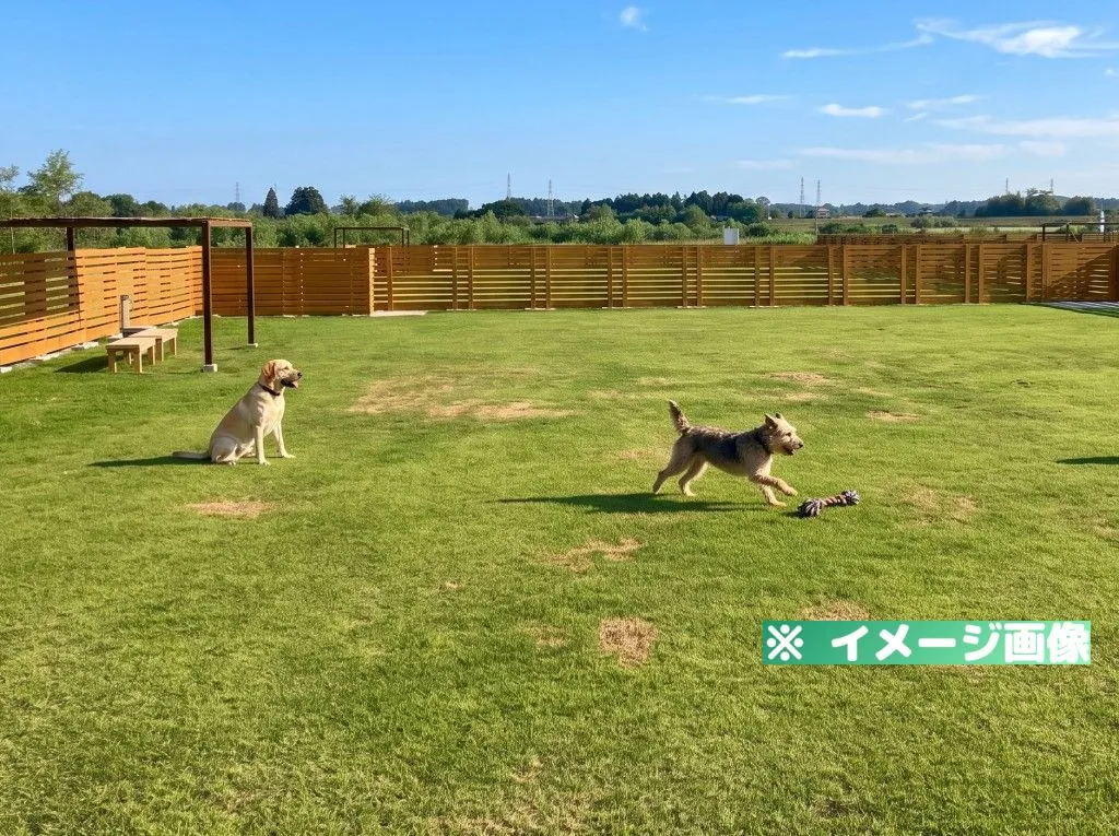 鬼怒グリーンパーク ドッグラン