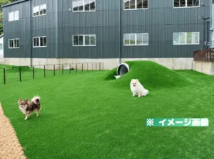 Kidz WAN Park（キッズワンパーク）