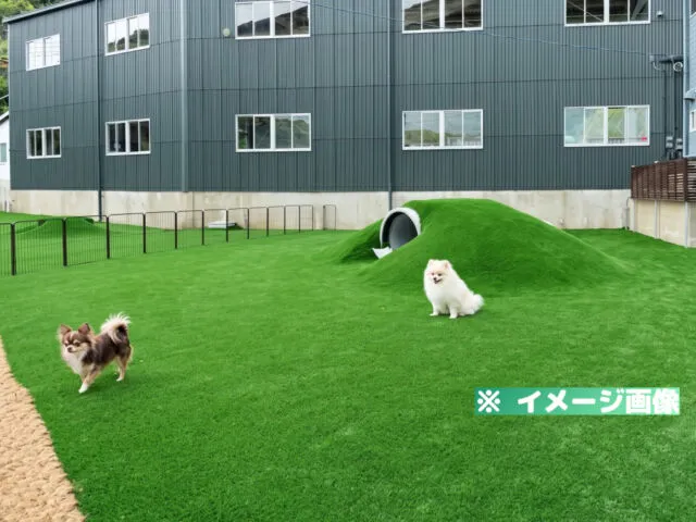 Kidz WAN Park（キッズワンパーク）