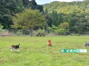 君田温泉 森の泉 ドッグラン