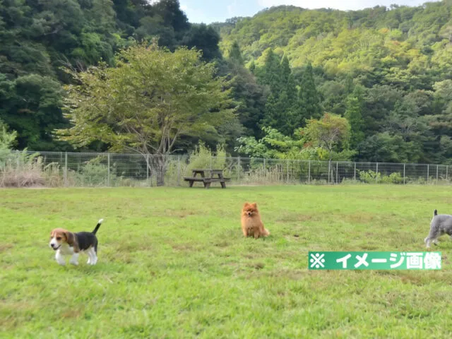 君田温泉 森の泉 ドッグラン