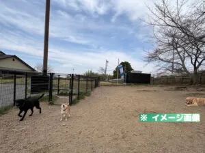 岸和田サービスエリア（上り）ドッグランのイメージ画像