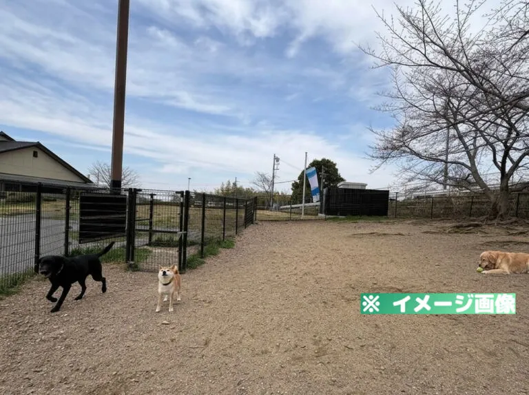 岸和田サービスエリア（上り）ドッグラン