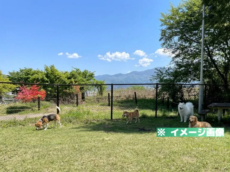 駒ヶ岳サービスエリア（上り）ドッグラン
