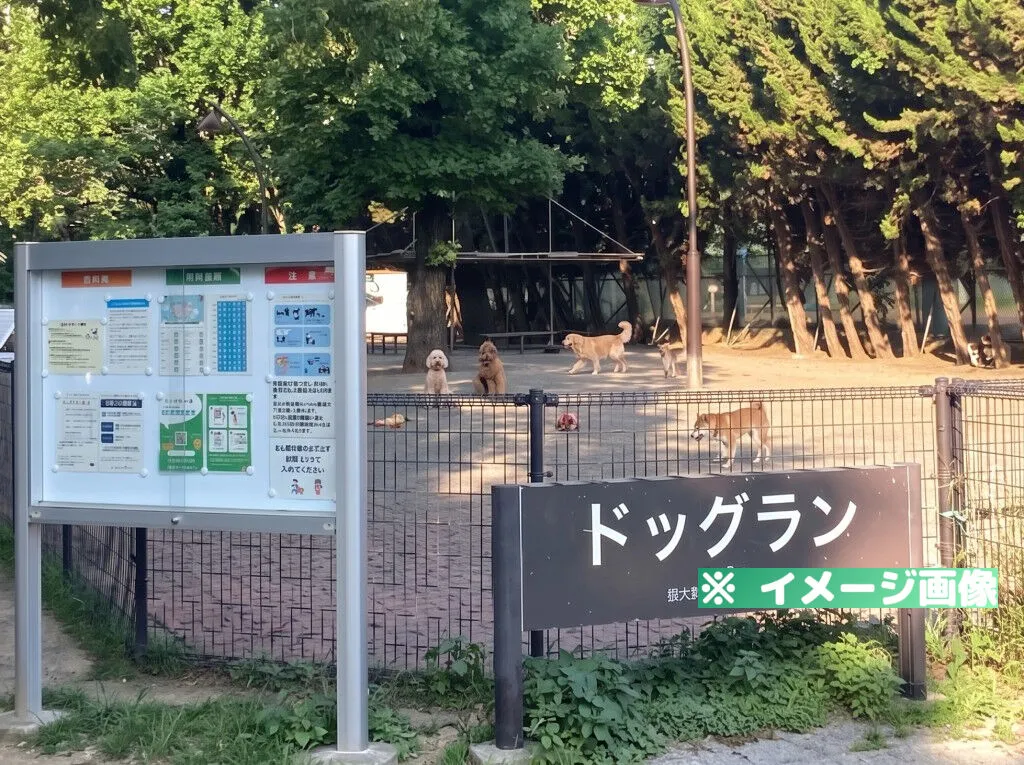 駒沢オリンピック公園ドッグラン
