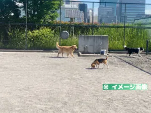 港南緑水公園ドッグラン