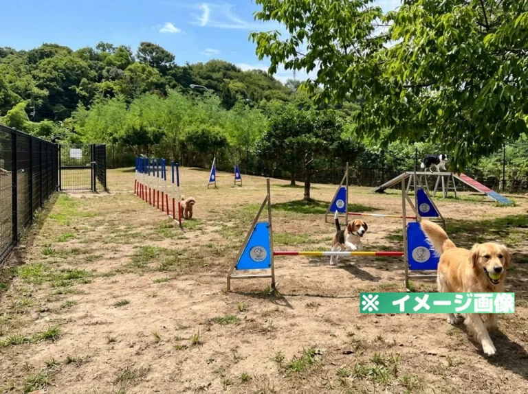 鴻ノ池サービスエリア（下り）ドッグラン