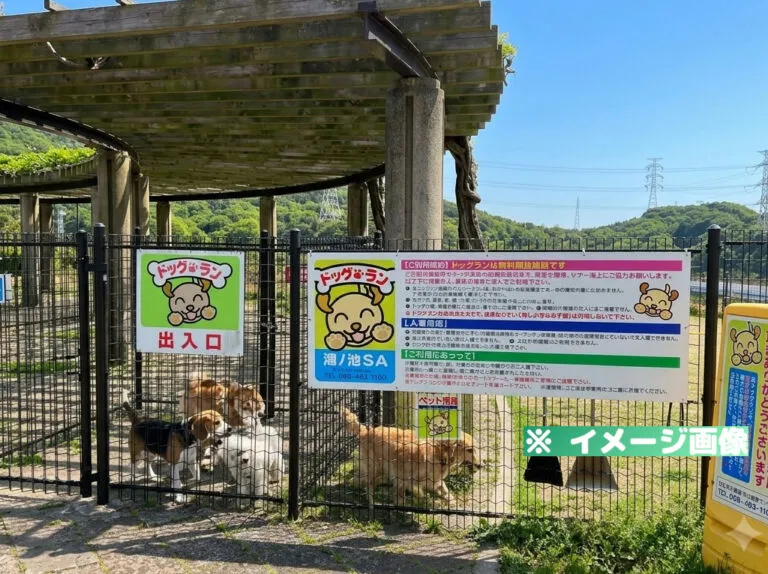 鴻ノ池サービスエリア（上り）ドッグラン