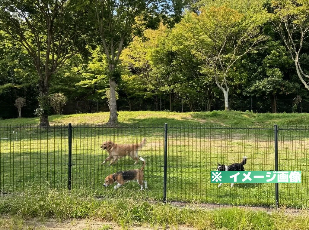 小谷サービスエリア（下り）ドッグランのイメージ画像