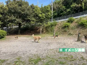 美合パーキングエリア（下り）ドッグランのイメージ画像